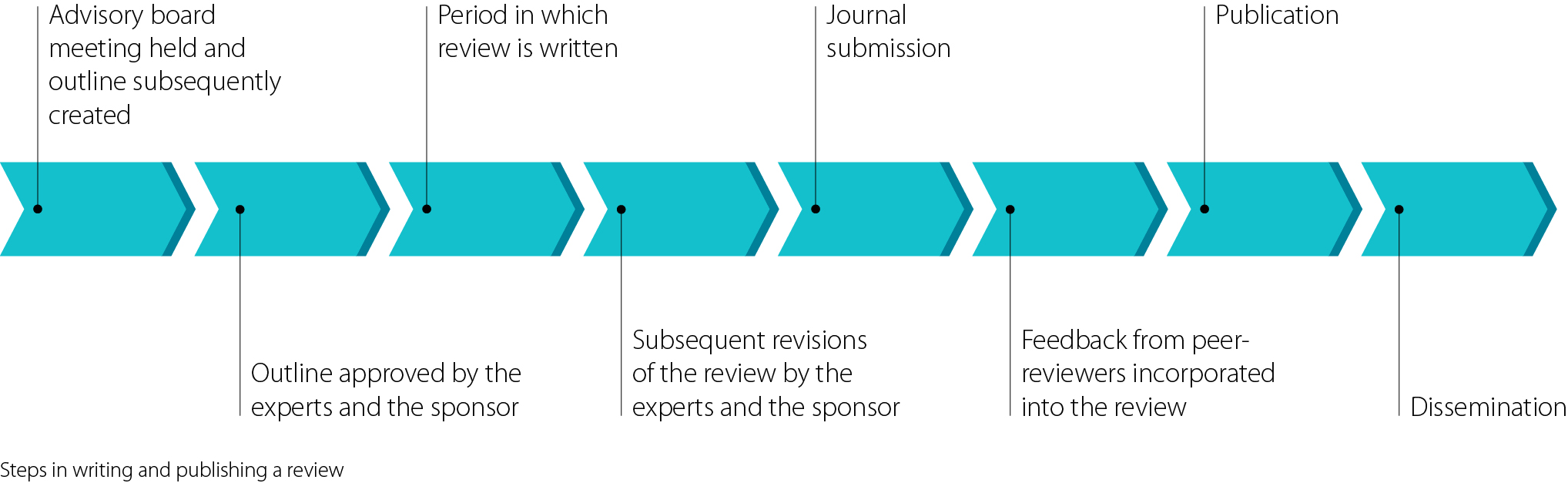 steps in writing and publishing a medical review